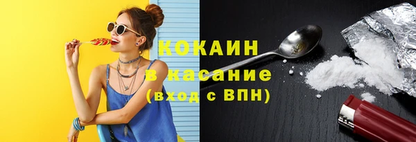 PSILOCYBIN Алзамай