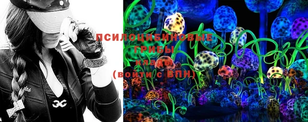 прущий лед Бердск
