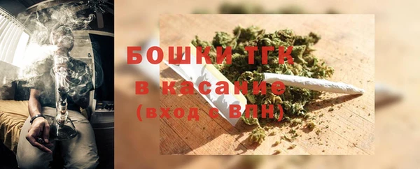 PSILOCYBIN Алзамай