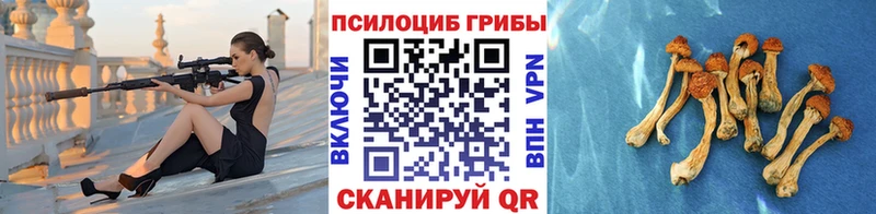 Псилоцибиновые грибы GOLDEN TEACHER  как найти   Сухиничи 